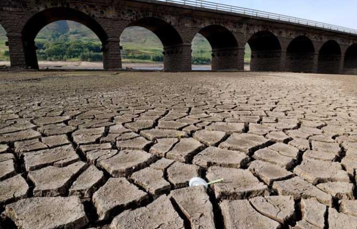 رسمياً… بريطانيا في حالة جفاف