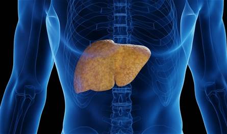 Sorry! Image not available at this time