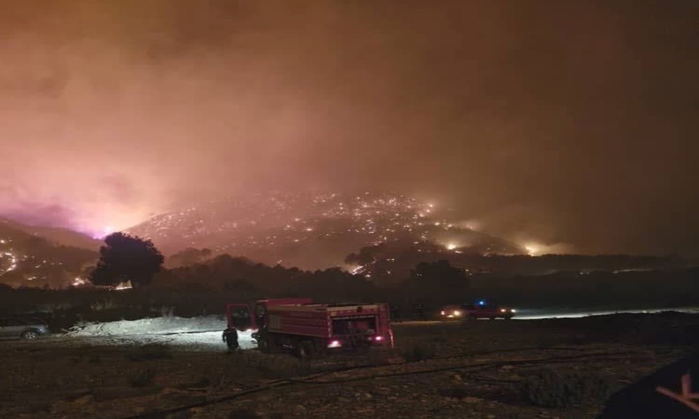 Sorry! Image not available at this time