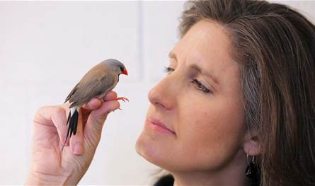 Sorry! Image not available at this time