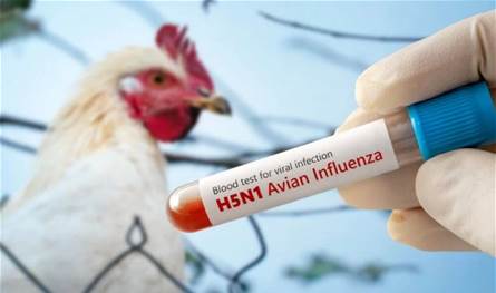 Sorry! Image not available at this time